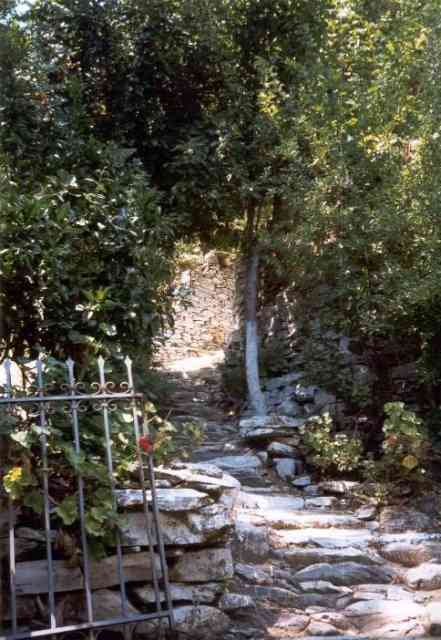 Samos garden